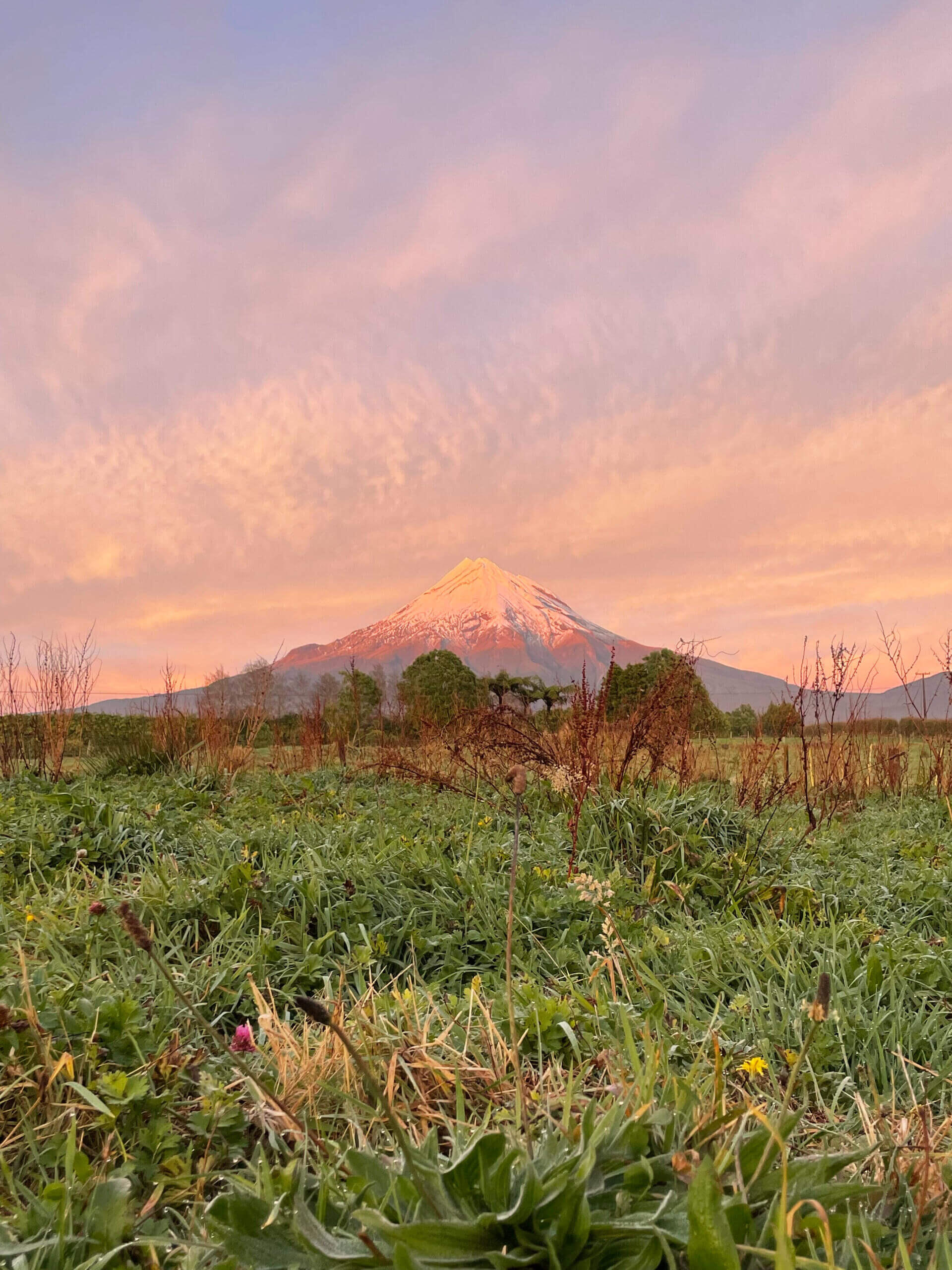 A picture of Mount Taranaki with snow on top. The picture is taken in June during early morning sunrise.